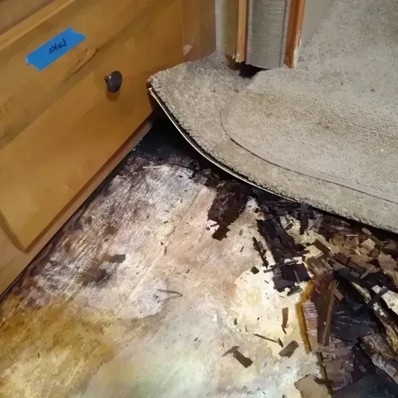 Wood Floor Water Damage in Calhoun County, FL